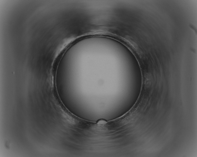 X0000091551414200709071206