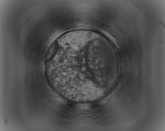 X0000091551415200709071206