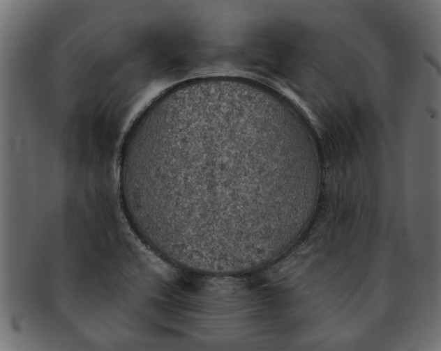 X0000091551416200709071206