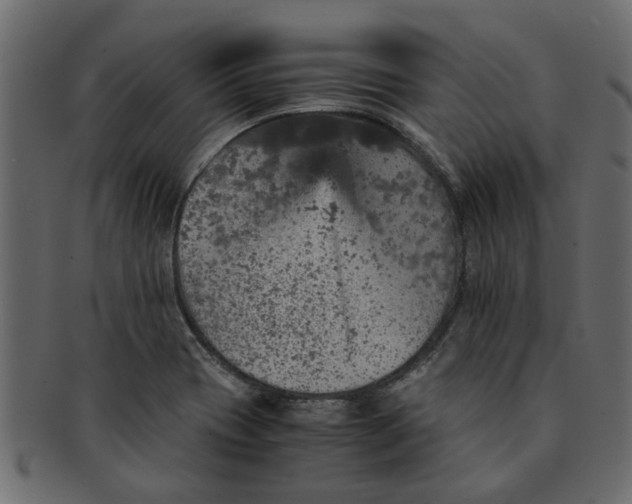 X0000091551417200709071206