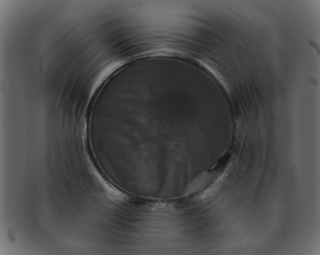 X0000091551418200709071206