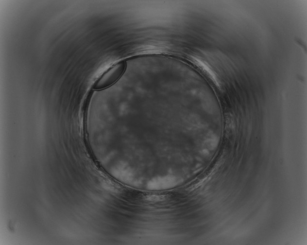 X0000091551419200709071206