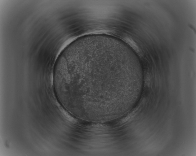 X0000091551420200709071206