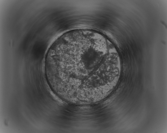 X0000091551421200709071206