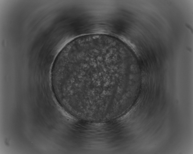 X0000091551423200709071206