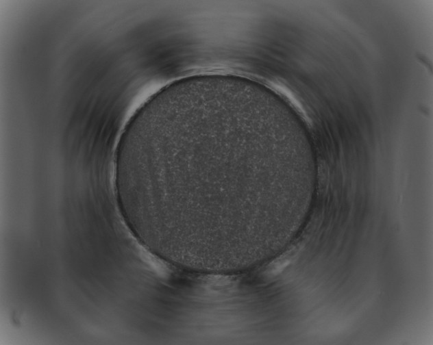X0000091551424200709071206