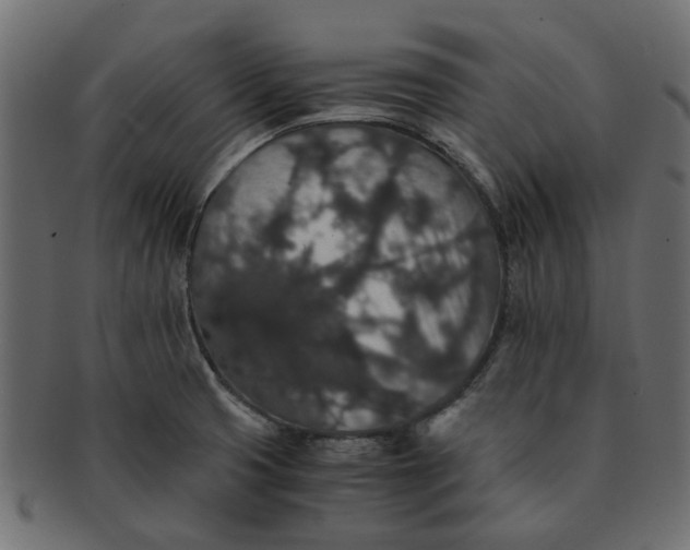 X0000091551425200709071206