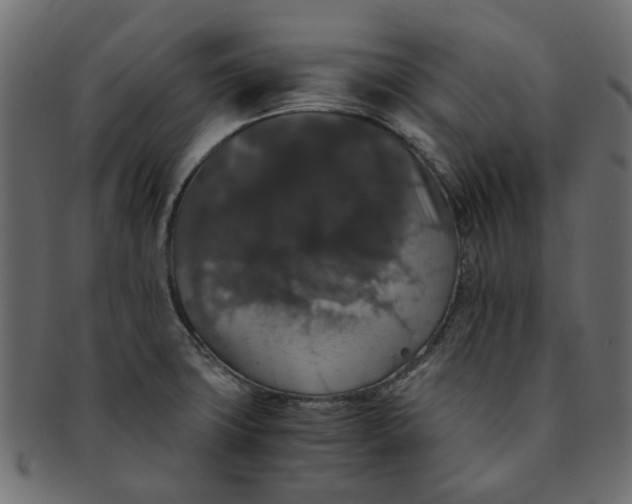 X0000091551427200709071206