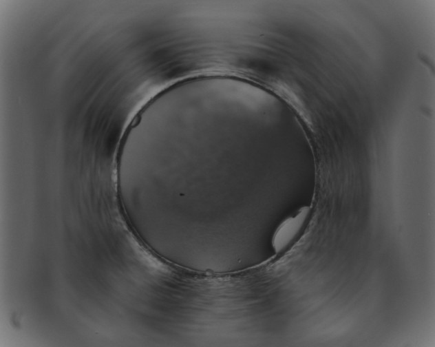 X0000091551428200709071206