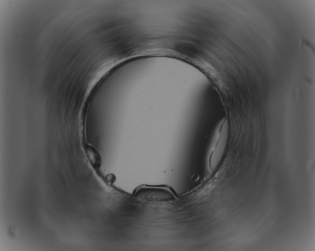 X0000091551430200709071206