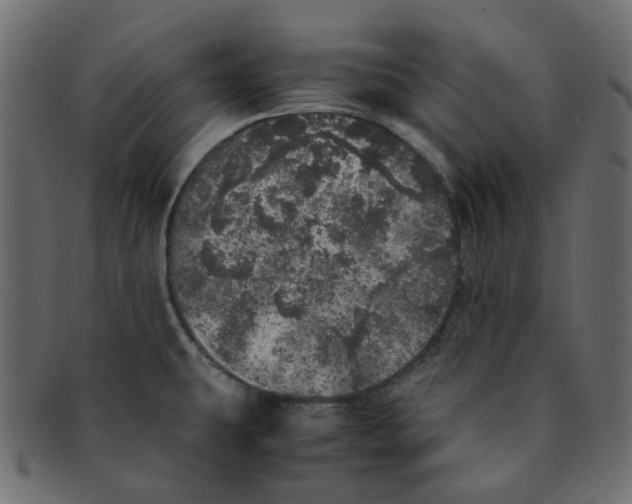X0000091551431200709071206