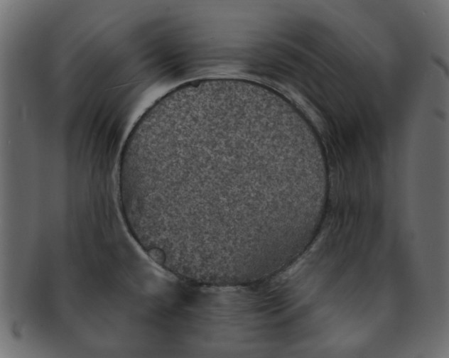X0000091551432200709071206