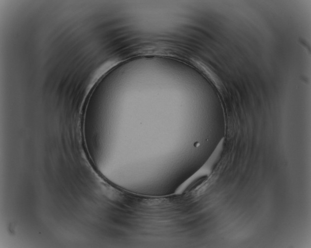 X0000091551434200709071206