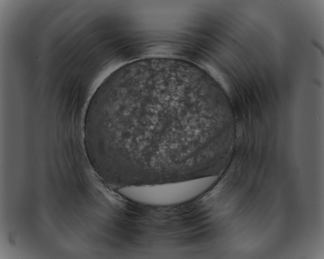 X0000091551435200709071206