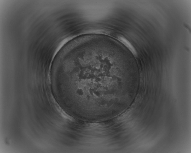 X0000091551436200709071206