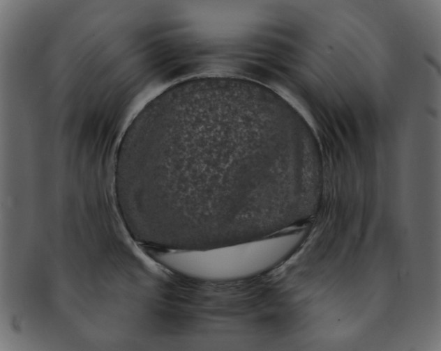 X0000091551437200709071206