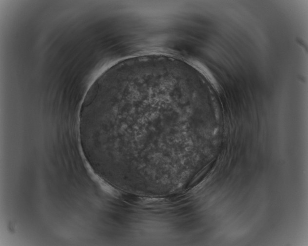 X0000091551439200709071206