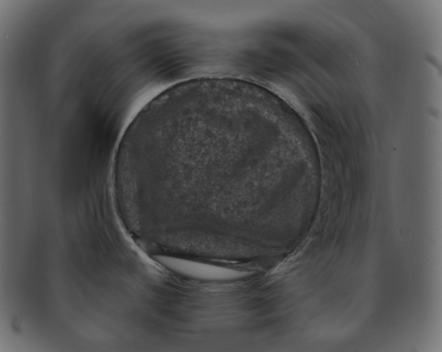 X0000091551440200709071206