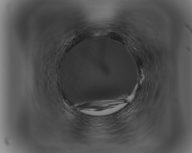 X0000091551441200709071205