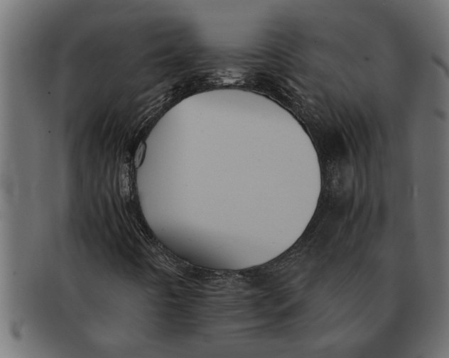X0000091551442200709071205