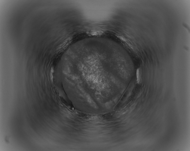 X0000091551443200709071205