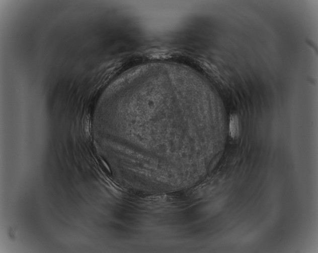 X0000091551444200709071205