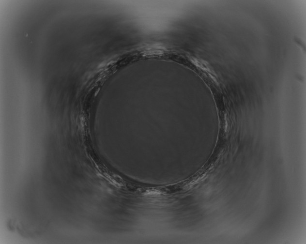 X0000091551445200709071205
