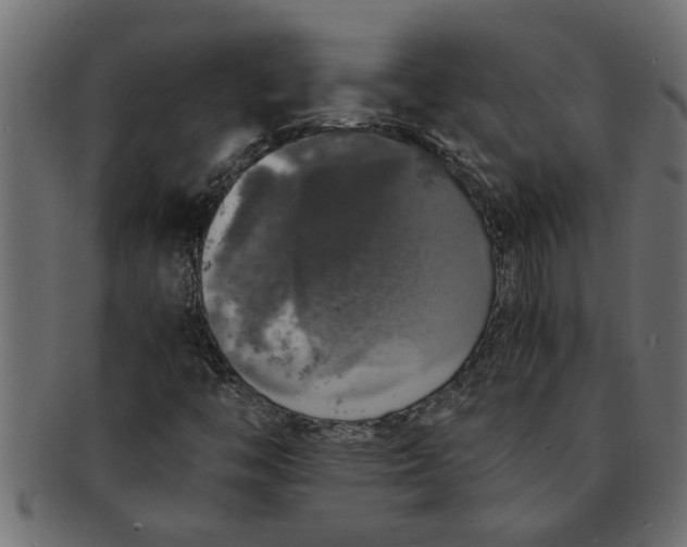 X0000091551446200709071205