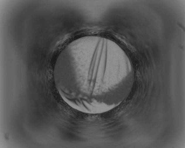 X0000091551447200709071205