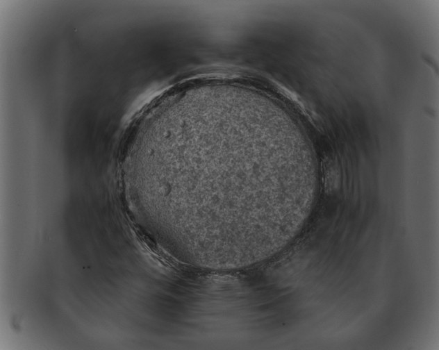 X0000091551448200709071205