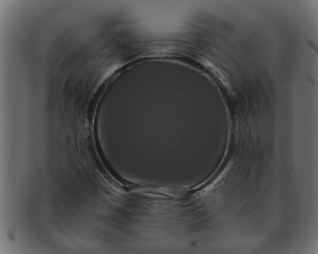 X0000091551449200709071205