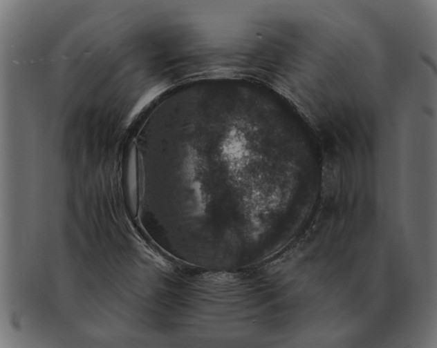 X0000091551450200709071205