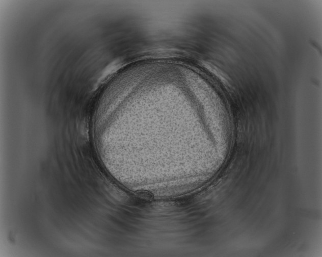 X0000091551451200709071205
