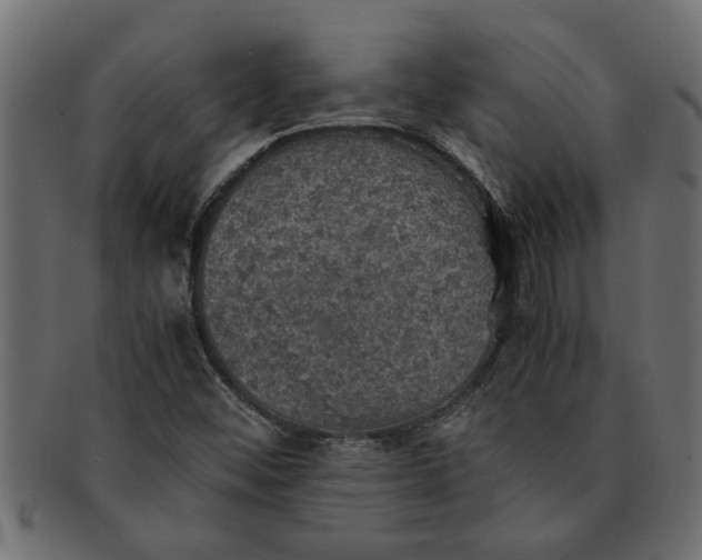 X0000091551452200709071205