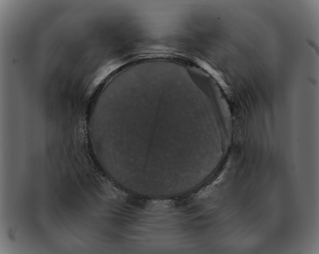 X0000091551453200709071205
