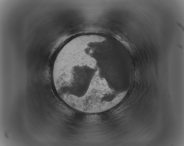 X0000091551454200709071205