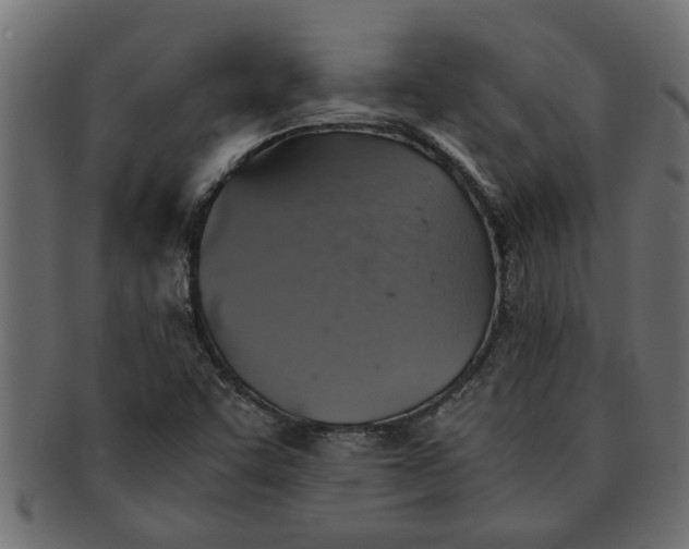 X0000091551455200709071205