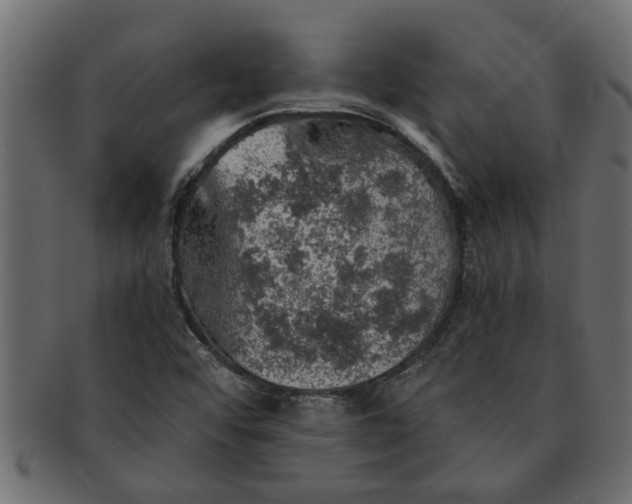 X0000091551456200709071205