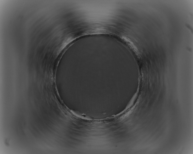 X0000091551457200709071205