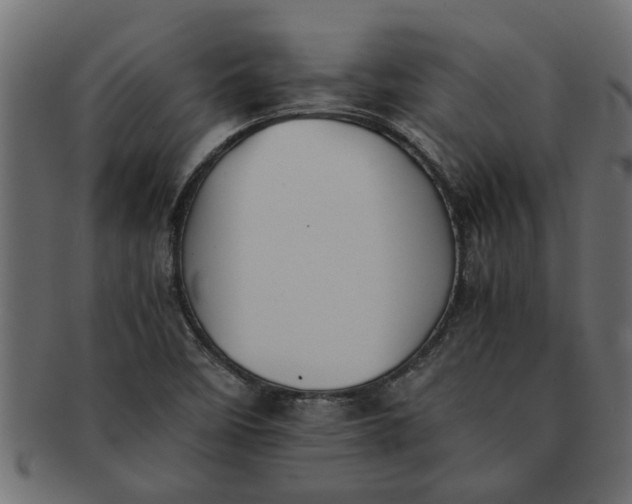 X0000091551458200709071205