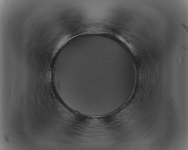 X0000091551459200709071205