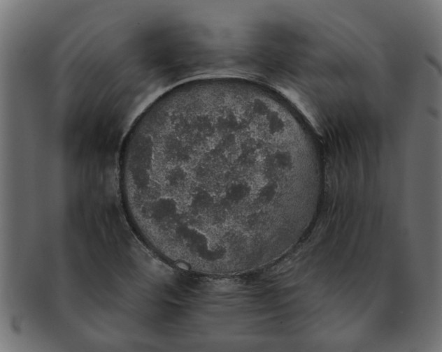 X0000091551460200709071205