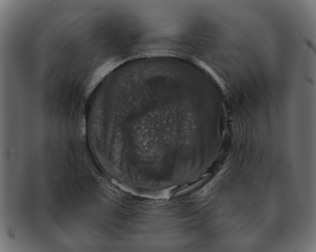 X0000091551461200709071205