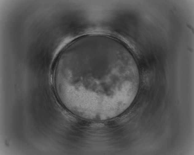 X0000091551462200709071205