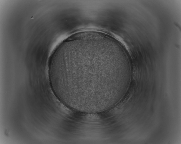 X0000091551464200709071205