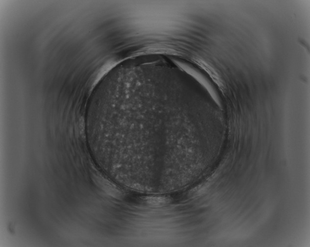 X0000091551465200709071205