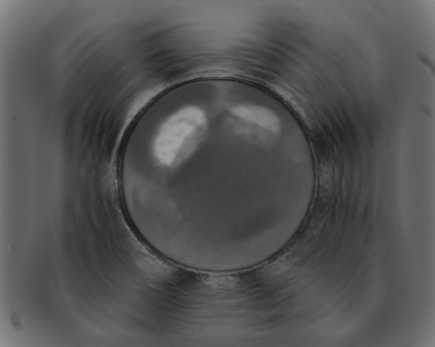 X0000091551466200709071205