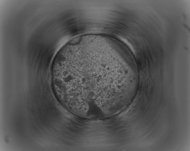 X0000091551467200709071205