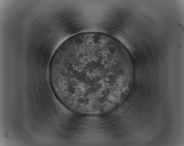 X0000091551468200709071205