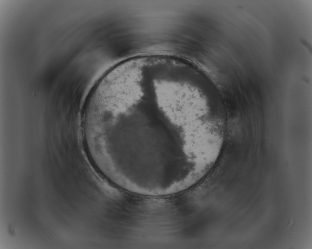 X0000091551470200709071205